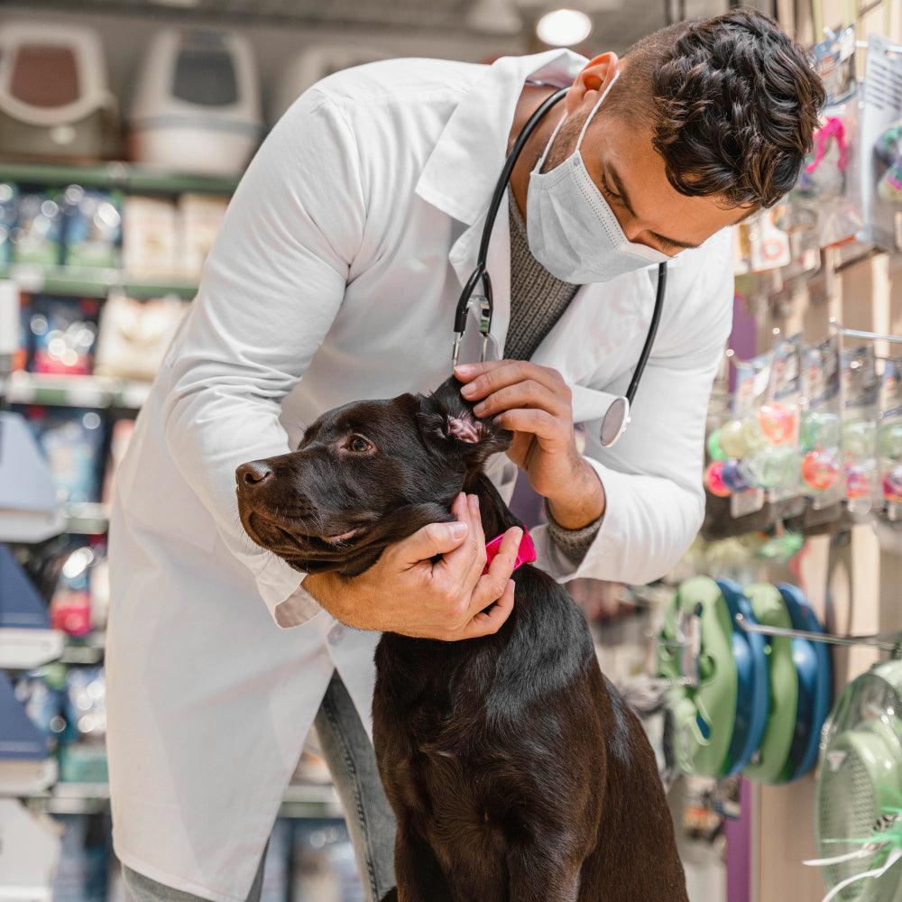 The Importance of Regular Check-Ups and Health Products for Pets - BonQos