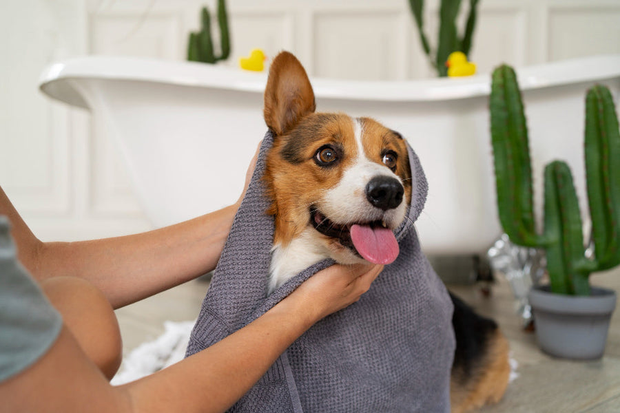 Grooming and Health
