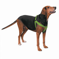 CC Nylon 2 Step Harness 15-25In Blk