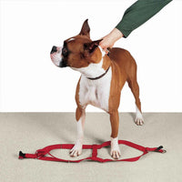 CC Nylon 2 Step Harness 15-25In Blk