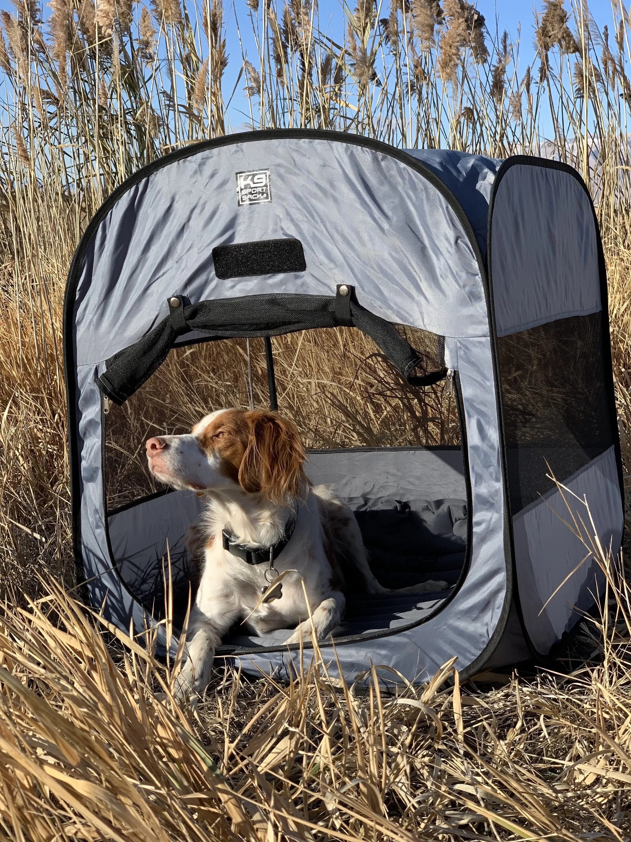pop up dog tent K9 Kennel Pop-Up Dog Tent · BonQos
