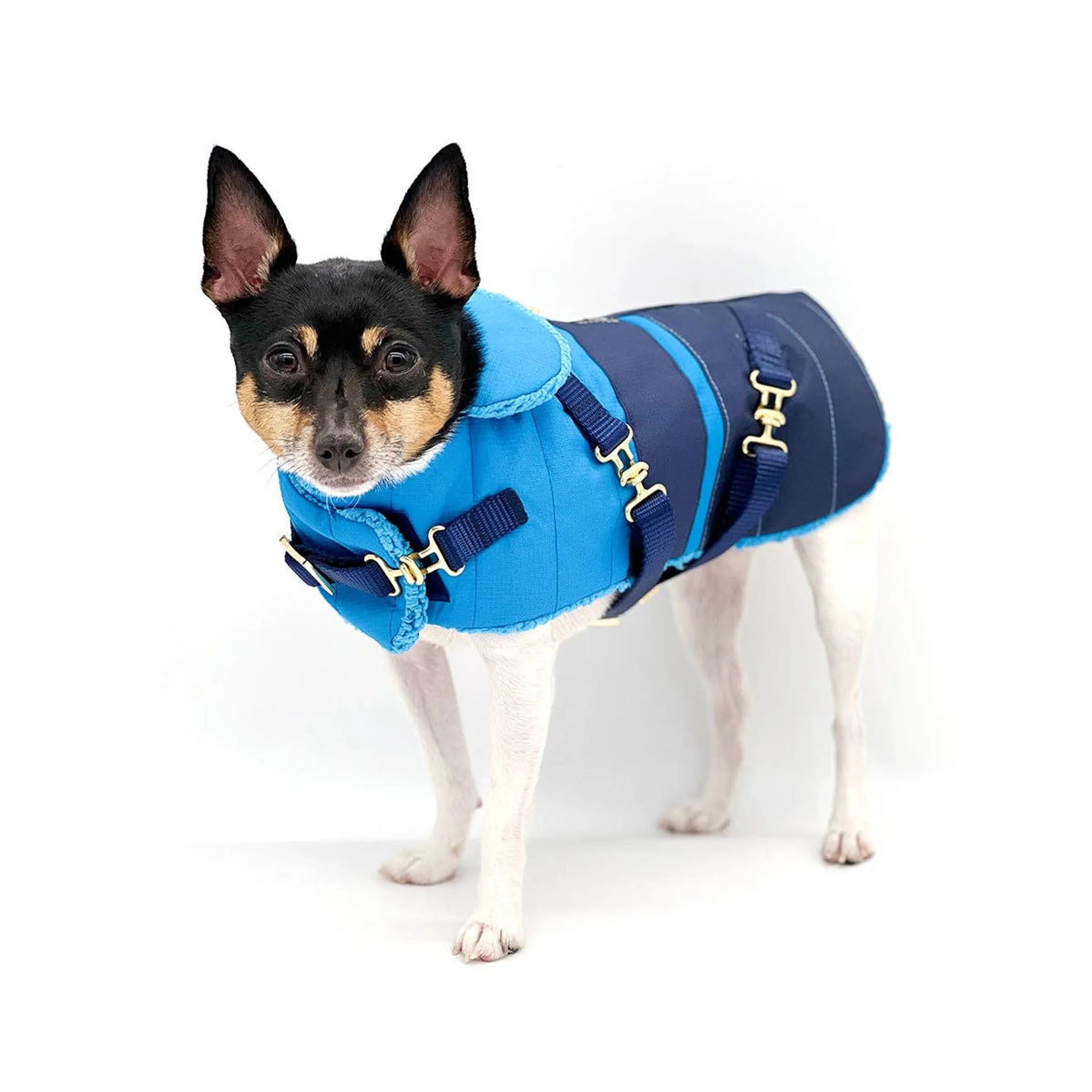 Clear Blue Sky" - DCNY Equestrian Collection BonQos Clear Blue Sky" - DCNY Equestrian Collection BonQos