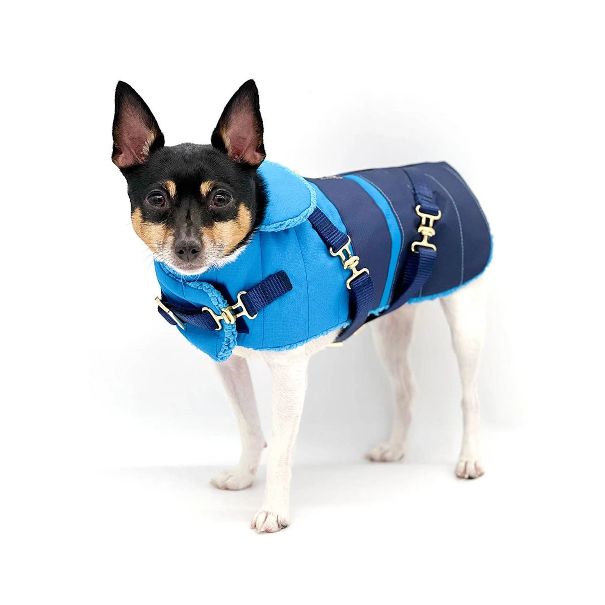 Clear Blue Sky" - DCNY Equestrian Collection BonQos Clear Blue Sky" - DCNY Equestrian Collection BonQos